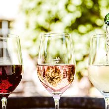05.08.2023 SAVE THE DATE – WEINFEST 2023